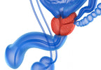 The Ultimate Guide to Prostate Massagers: How to Choose and Use