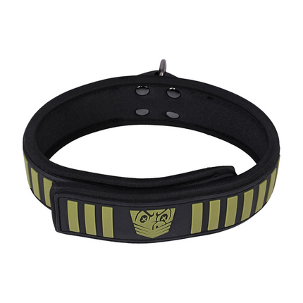 Tactical Collar and Leash - Black/Green