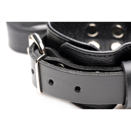 Leather Bed Restraint Kit