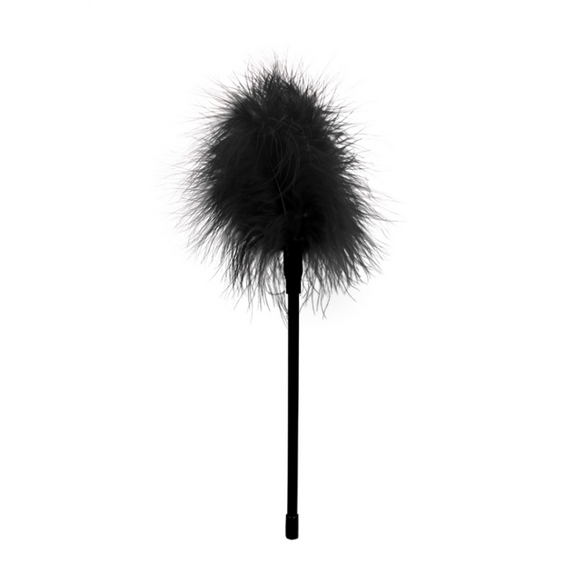 Feather